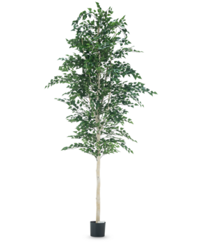 Greenmoods Kunstig Bjørketre 300cm