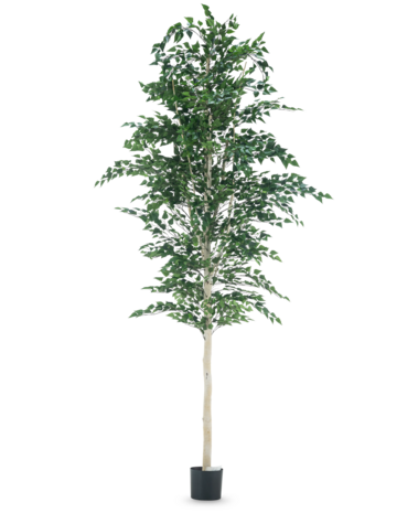 Greenmoods Kunstig Bjørketre 300cm