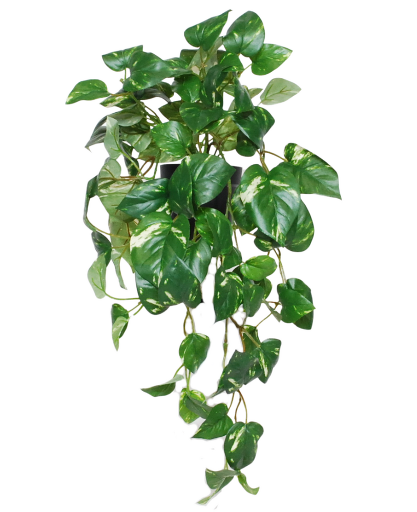 Greenmoods Kunstige Hengende Gullranke i Potte UV 50cm
