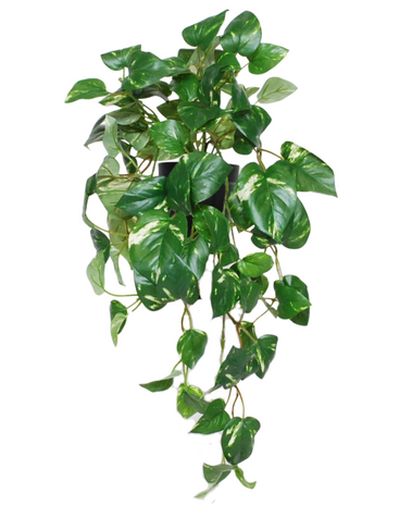 Greenmoods Kunstige Hengende Gullranke i Potte UV 50cm