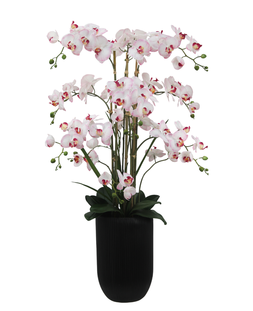 Greenmoods Eksklusiv Kunstig Orkidé Real Touch Rosa/Hvit 110cm