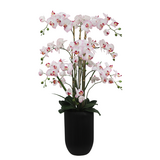 Greenmoods Eksklusiv Kunstig Orkidé Real Touch Rosa/Hvit 110cm