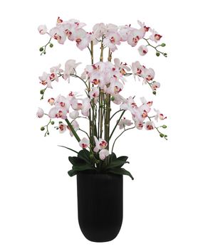 Greenmoods Eksklusiv Kunstig Orkidé Real Touch Rosa/Hvit 110cm