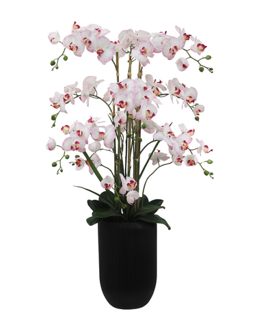 Greenmoods Eksklusiv Kunstig Orkidé Real Touch Rosa/Hvit 110cm