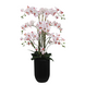 Greenmoods Eksklusiv Kunstig Orkidé Real Touch Rosa/Hvit 110cm