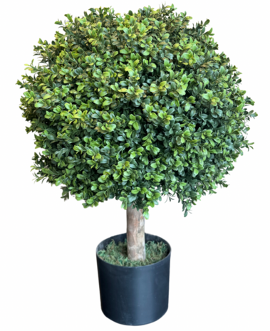Greenmoods Kunstig Plante Buksbom UV 85cm