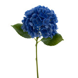 Greenmoods Kunstig Charlotte Hortensia Real Touch Blå 49cm