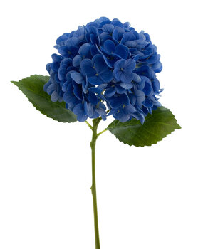 Greenmoods Kunstig Charlotte Hortensia Real Touch Blå 49cm