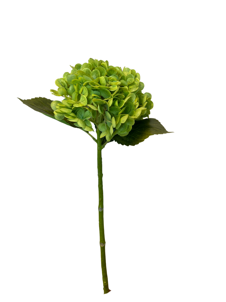 Greenmoods Kunstig Charlotte Hortensia Real Touch Mørk Grønn 55 cm