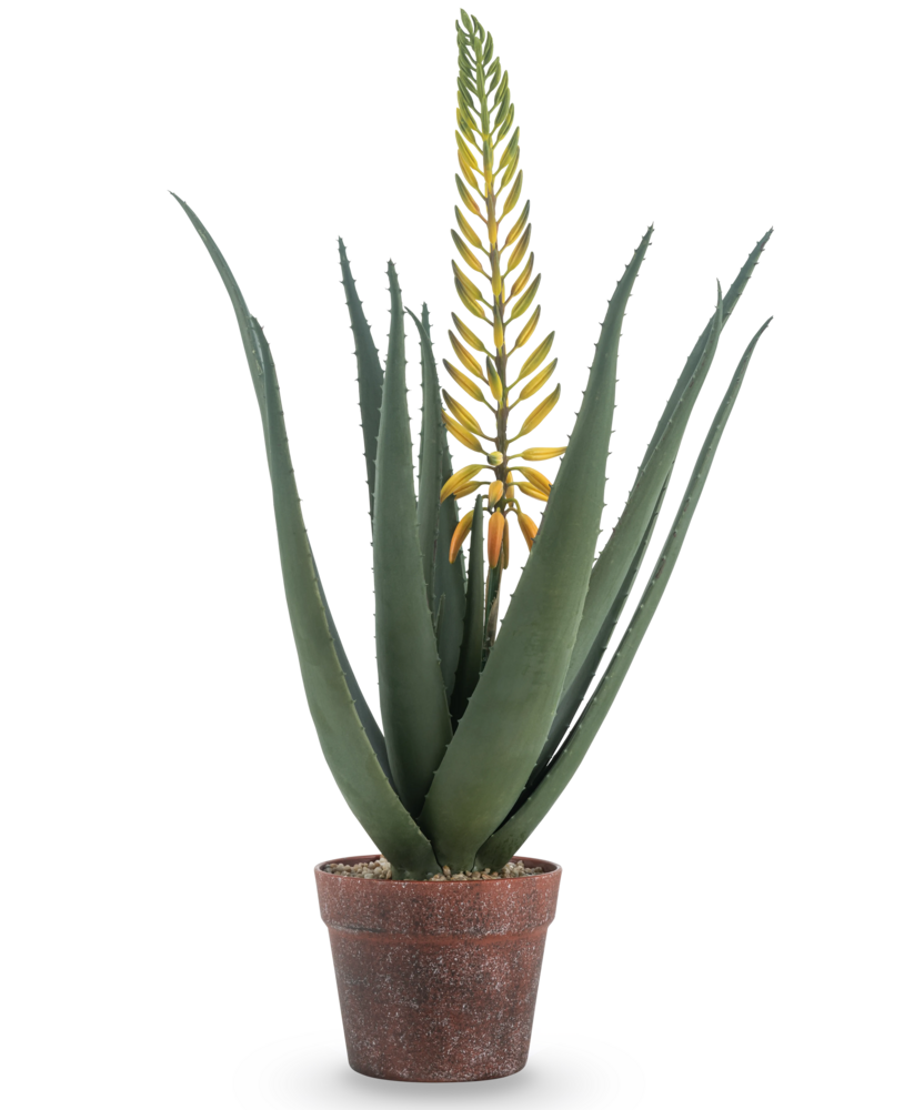 Greenmoods Kunstig Aloe Vera med Blomst Gul 66cm