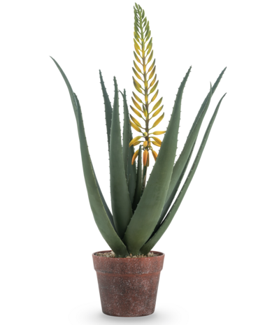 Greenmoods Kunstig Aloe Vera med Blomst Gul 66cm