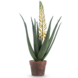 Greenmoods Kunstig Aloe Vera med Blomst Gul 66cm