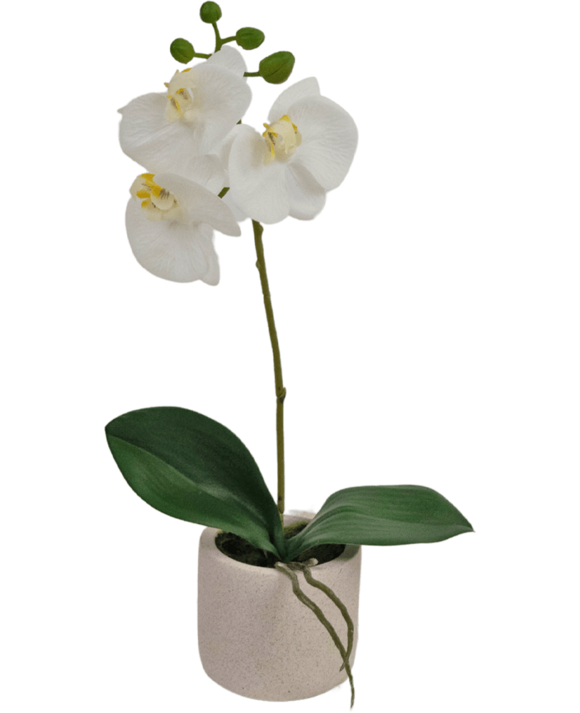 Greenmoods Kunstig Orkidé Real Touch Mini Hvit 30cm