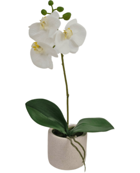 Greenmoods Kunstig Orkidé Real Touch Mini Hvit 30cm