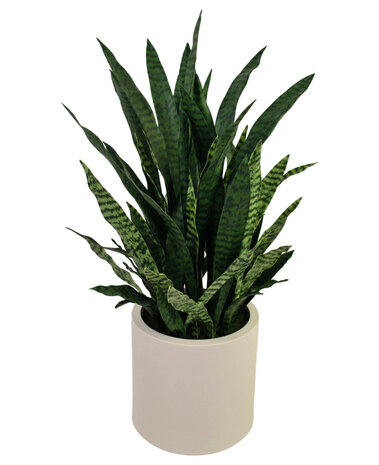 Greenmoods Kunstig Sansevieria i Beige Krukke 110cm