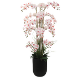 Greenmoods Eksklusiv Kunstig Phalaenopsis Real Touch Orkidé Rosa/Hvit 150cm