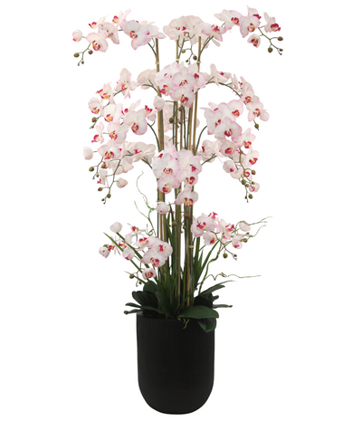 Greenmoods Eksklusiv Kunstig Phalaenopsis Real Touch Orkidé Rosa/Hvit 150cm