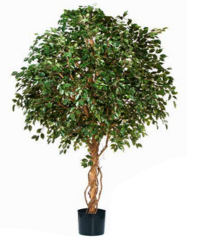 Greenmoods Kunstig Fikus Tre Gigant 320cm