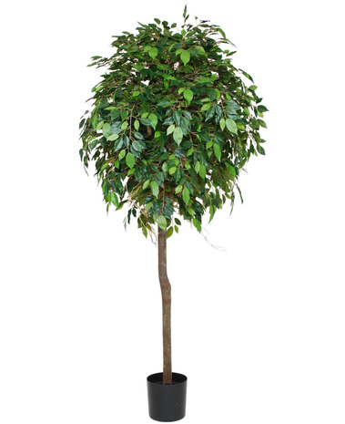 Greenmoods Kunstig Fikus Benjamin Tre 180cm