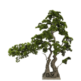 Greenmoods Kunstige Bonsai Furu UV 220 cm