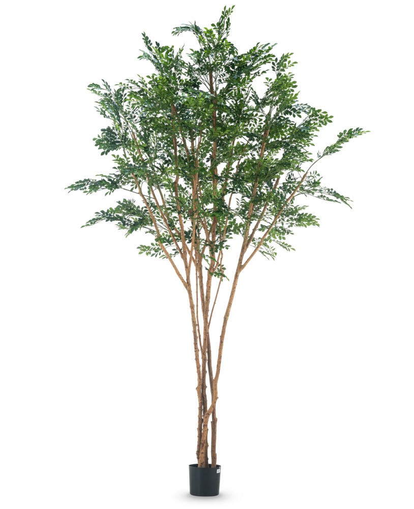 Greenmoods Kunstig tre Murraya paniculata 300cm