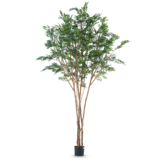 Greenmoods Kunstig tre Murraya paniculata 300cm