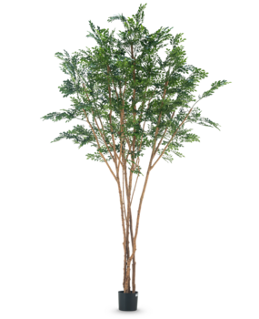 Greenmoods Kunstig tre Murraya paniculata 300cm