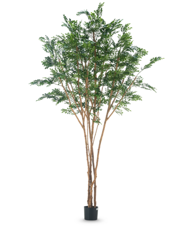 Greenmoods Kunstig tre Murraya paniculata 300cm