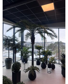 Greenmoods Kunstig Kanari Palme 350 cm