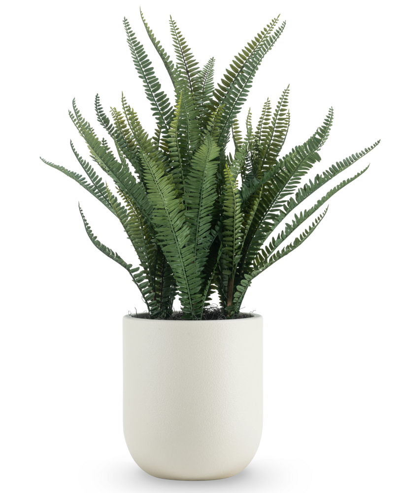 Greenmoods Kunstig Bostonbregne i Potte Beige 82cm