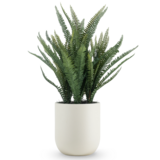 Greenmoods Kunstig Bostonbregne i Potte Beige 82cm