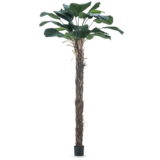 Greenmoods Kunstig Lucuala Grandis 210cm