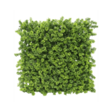 Greenmoods Kunstig Plantevegg Mose 50x50 cm UV