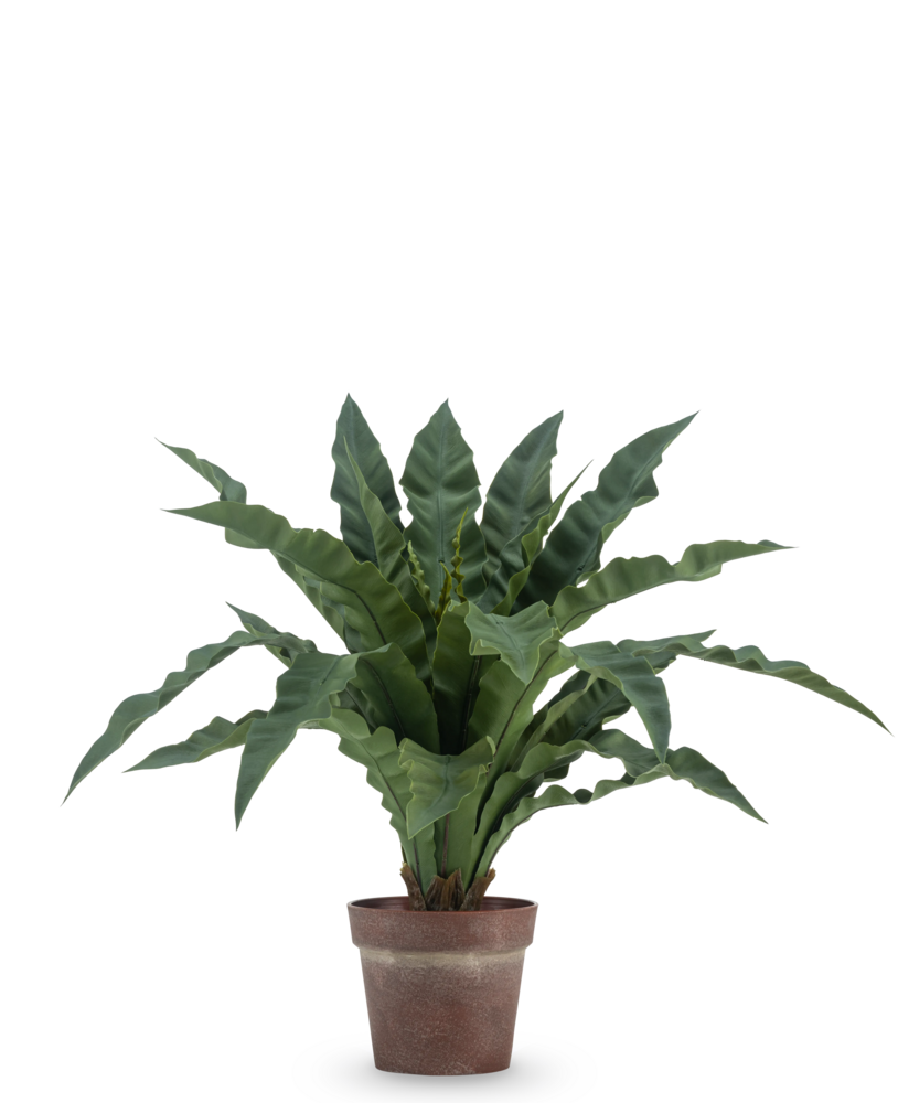 Greenmoods Kunstig Nestbregne i Potte 61 cm