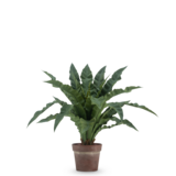 Greenmoods Kunstig Nestbregne i Potte 61 cm