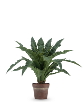 Greenmoods Kunstig Nestbregne i Potte 61 cm