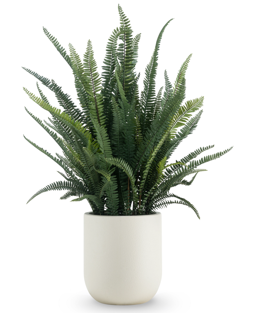 Greenmoods Kunstig Bregne i Potte Beige 102cm