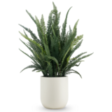 Greenmoods Kunstig Bregne i Potte Beige 102cm