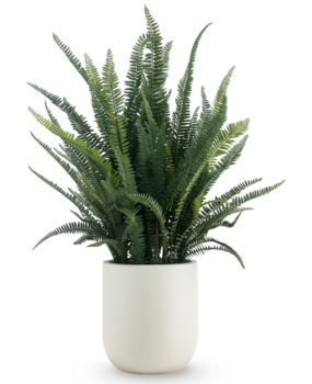 Greenmoods Kunstig Bregne i Potte Beige 102cm