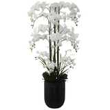 Greenmoods Eksklusiv Kunstig Phalaenopsis Real Touch Orkidé Hvit 150cm
