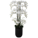 Greenmoods Eksklusiv Kunstig Phalaenopsis Real Touch Orkidé Hvit 150cm