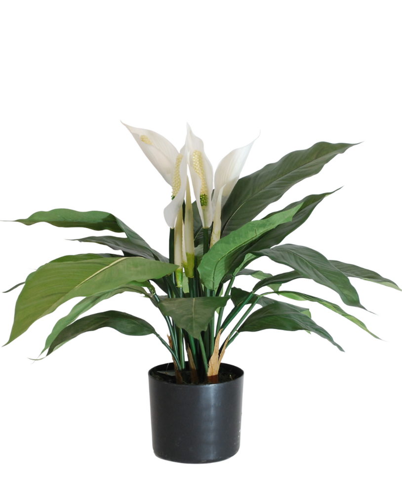 Greenmoods Kunstig Fredslilje Fyldig 50cm