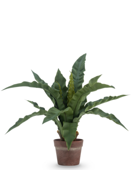 Greenmoods Kunstig Fuglerede Bregne i Potte 49cm