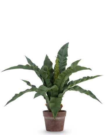 Greenmoods Kunstig Fuglerede Bregne i Potte 49cm