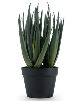Greenmoods Kunstig Aloe Vera Plante 46cm