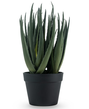Greenmoods Kunstig Aloe Vera Plante 46cm