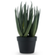 Greenmoods Kunstig Aloe Vera Plante 46cm