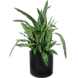 Greenmoods Kunstig Sansevieria Deluxe i Sort Krukke 110cm