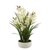 Greenmoods Kunstig Cymbidium Orkide Real Touch Lys Gul 85cm