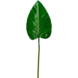 Greenmoods Kunstig blad Alocasia 78cm